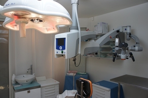 Видове Dental Implants 17