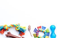 Изберете нашите аксесоари за кучета 25 от Za kucheto Изберете нашите аксесоари за кучета 25