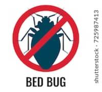 Услуги - пръскане срещу бълхи 7
