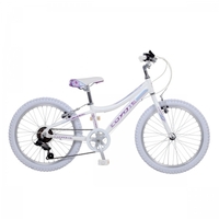 tipuri Bicicleta Electrice 26