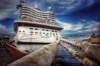 Видове Msc Cruises 23