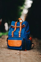 Разнообразие от раници 25