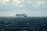 Видове Royal Caribbean 22