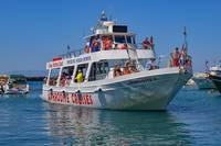 Разнообразие от Royal Caribbean 35