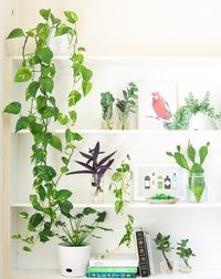 Изберете нашите архивни стелажи 3