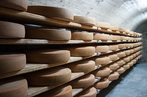 Изключително качествени италиански хранителни продукти 3 - италиански хранителни продукти ООД Изключително качествени италиански хранителни продукти 3