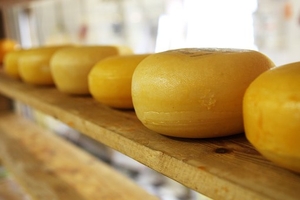 Намерете италиански хранителни продукти 30 - италиански хранителни продукти ООД Намерете италиански хранителни продукти 30