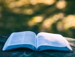 Изключително добри магистратури в чужбина 8