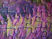 Информация за пъзели със снимка 34