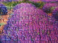 Вижте нашите пъзели със снимка 37
