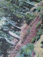 Вижте повече за пъзели със снимка 38