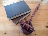 Изключително добри пледложения за правни услуги 11