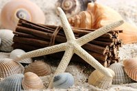 почивка на море ол инклузив - 12197 - изберете най-добрите предложения почивка на море ол инклузив - 31283 - изберете най-добрите предложения