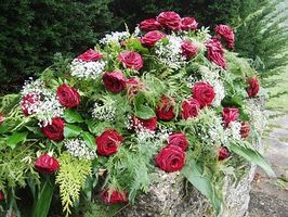 погребална агенция кипарис оборище - 17432 селекции погребална агенция кипарис оборище - 44569 селекции