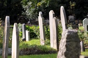 погребална агенция кипарис оборище - 12698 вузможности погребална агенция кипарис оборище - 55172 вузможности