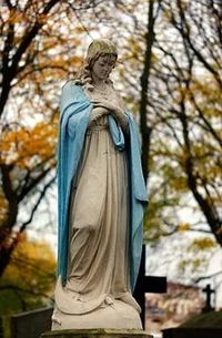 погребална агенция кипарис оборище - 18287 новини погребална агенция кипарис оборище - 82390 новини