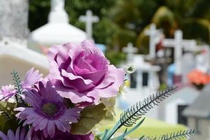 погребална агенция софия - 86595 предложения