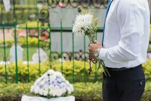 погребална агенция софия - 98056 снимки