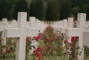 погребални услуги - 74864 комбинации | Кипарис погребални услуги - 18836 комбинации