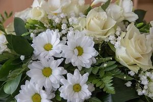 погребални услуги - 32772 бестселъри погребални услуги - 67874 бестселъри