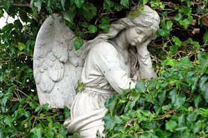 погребални услуги - 85019 вида погребални услуги - 23839 вида