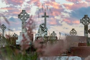 погребални услуги - 78038 селекции погребални услуги - 2364 селекции