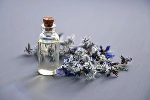 СОЛНА СТАЯ - 26935 снимки СОЛНА СТАЯ - 13816 снимки