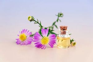спа почивка - 93810 клиенти спа почивка - 64413 клиенти