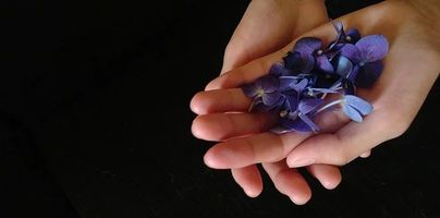 спа процедури - 1154 награди