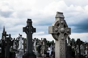 транспортиране на покойник - 24764 новини транспортиране на покойник - 49391 новини