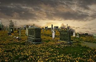 траурни услуги - 4603 клиенти