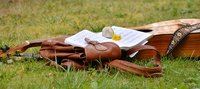 ортопедични раници - 30938 - изберете от нашите предложения