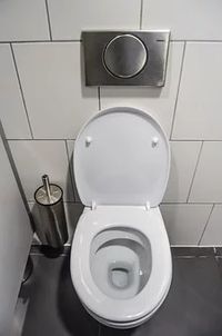 плочки за баня - 87825 новини