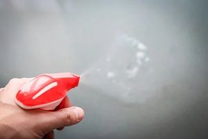 почистване на офиси софия - 89292 възможности