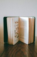 стари книги - 95867 - разгледайте нашите предложения за