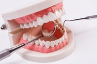 зъбен мост - 10014 - намерете най-добрите