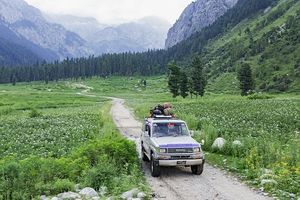 джипове под наем - 16272 бестселъри