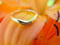 пръстени - 90976 клиенти пръстени - 4344 клиенти