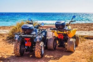 Buggies 4x4 - 35975 offers Buggies 4x4 - 96786 offers
