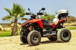Buggies 4x4 - 48738 types Buggies 4x4 - 9493 types