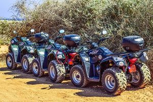 Dune Buggy - 1154 combinations