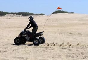 Dune Buggy - 1853 species