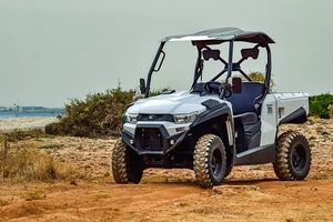 Dune Buggy - 54695 species