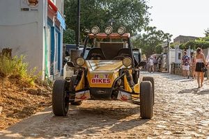 Dune Buggy - 99085 types