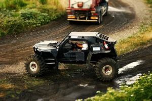 Dune Buggy - 41308 selection
