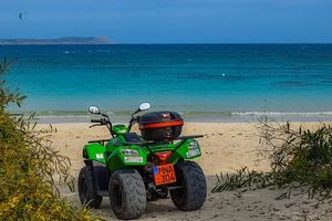 Dune Buggy - 91480 prices