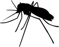 Insektenschutz - 31152 Sorten