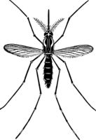 Insektenschutzrollo - 59064 Erfolge Insektenschutzrollo - 90708 Erfolge