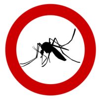 Insektenschutzrollo - 92657 Aktionen Insektenschutzrollo - 94804 Aktionen