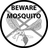 Insektenschutzrollo - 12723 Sorten Insektenschutzrollo - 75110 Sorten